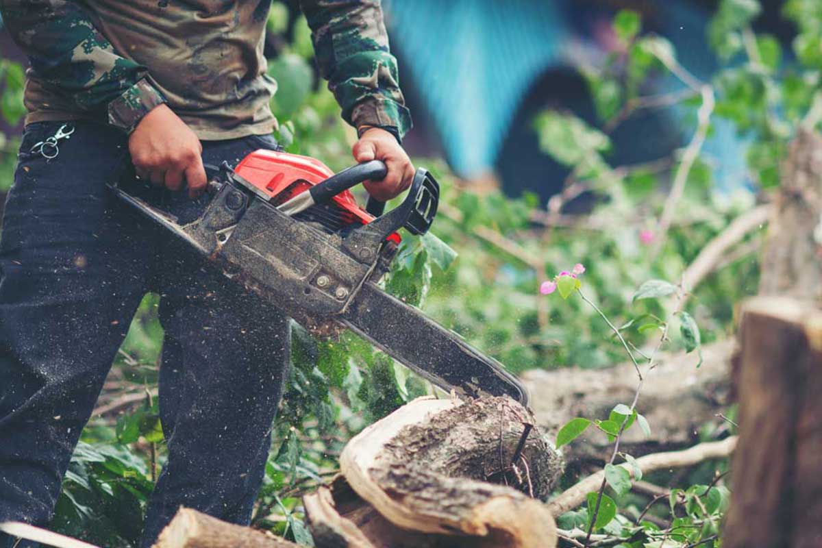 Residential Services